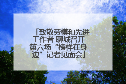 致敬劳模和先进工作者 聊城召开第六场“榜样在身边”记者见面会
