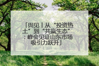 舆见丨从“投资热土”到“共赢生态”：峰会见证山东市场吸引力跃升