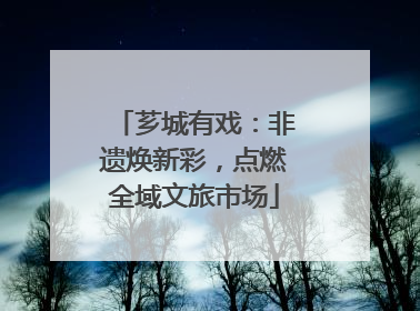 芗城有戏：非遗焕新彩，点燃全域文旅市场
