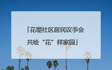 花堤社区居民议事会共绘“花”样家园