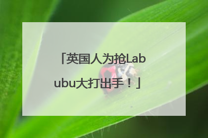 英国人为抢Labubu大打出手！