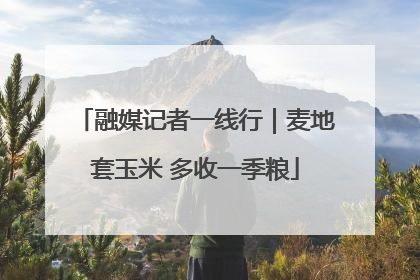 融媒记者一线行｜麦地套玉米 多收一季粮