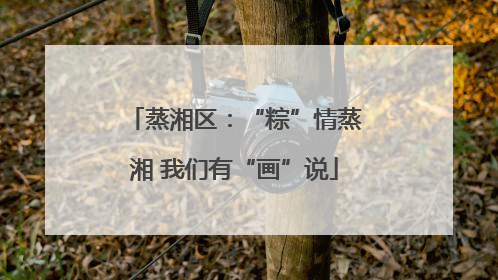 蒸湘区：“粽”情蒸湘 我们有“画”说