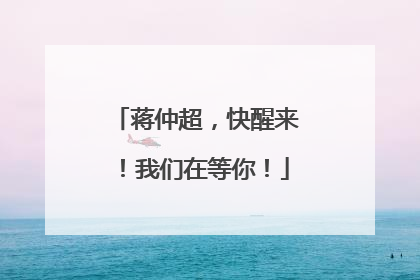 蒋仲超，快醒来！我们在等你！