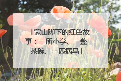 蒙山脚下的红色故事：一所小学、一盏茶碗、一匹病马