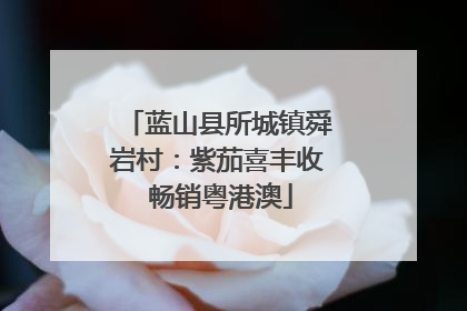 蓝山县所城镇舜岩村：紫茄喜丰收 畅销粤港澳