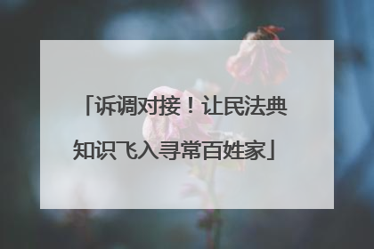 诉调对接！让民法典知识飞入寻常百姓家