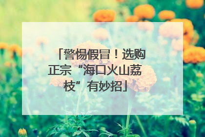 警惕假冒！选购正宗“海口火山荔枝”有妙招