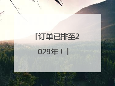 订单已排至2029年！