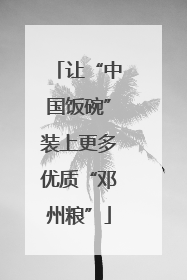 让“中国饭碗”装上更多优质“邓州粮”