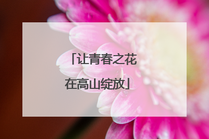 让青春之花在高山绽放