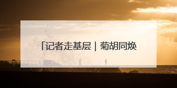 记者走基层｜菊胡同焕新，转角邂逅老味道