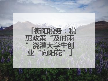 衡阳税务：税惠政策“及时雨”浇灌大学生创业“向阳花”