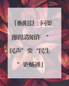 衡阳县：问渠那得清如许 “民声”变“民生”更畅通