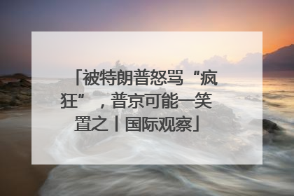 被特朗普怒骂“疯狂”，普京可能一笑置之丨国际观察