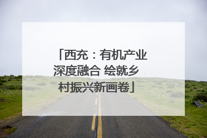 西充：有机产业深度融合 绘就乡村振兴新画卷