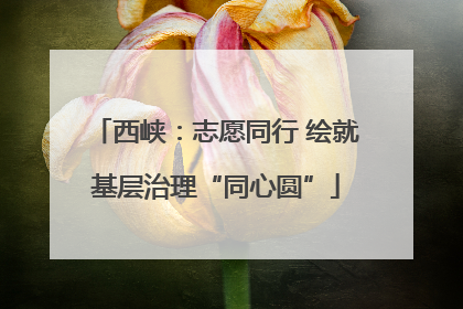 西峡：志愿同行 绘就基层治理“同心圆”