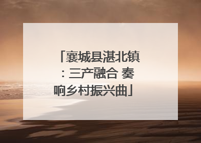 襄城县湛北镇：三产融合 奏响乡村振兴曲