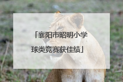 襄阳市昭明小学球类竞赛获佳绩