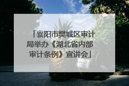 襄阳市樊城区审计局举办《湖北省内部审计条例》宣讲会