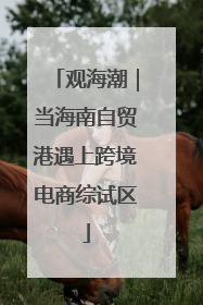 观海潮｜当海南自贸港遇上跨境电商综试区