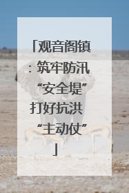 观音阁镇：筑牢防汛“安全堤” 打好抗洪“主动仗”