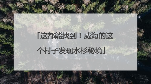 这都能找到！威海的这个村子发现水杉秘境