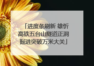 进度条刷新 雄忻高铁五台山隧道正洞掘进突破万米大关