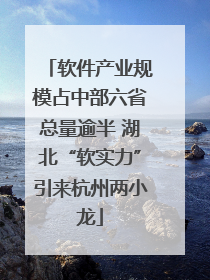 软件产业规模占中部六省总量逾半 湖北“软实力”引来杭州两小龙