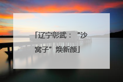辽宁彰武：“沙窝子”焕新颜