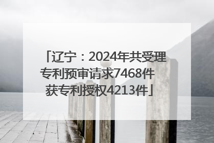 辽宁：2024年共受理专利预审请求7468件 获专利授权4213件