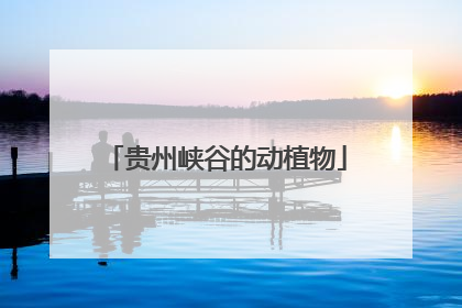 贵州峡谷的动植物