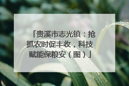 贵溪市志光镇：抢抓农时促丰收，科技赋能保粮安（图）