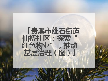 贵溪市雄石街道仙桥社区：探索“红色物业”，推动基层治理（图）