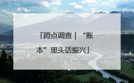 蹲点调查｜“账本”里头话振兴