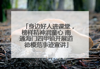 身边好人进课堂，榜样精神润童心 南通海门四甲镇开展道德模范事迹宣讲