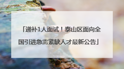 递补1人面试！泰山区面向全国引进急需紧缺人才最新公告