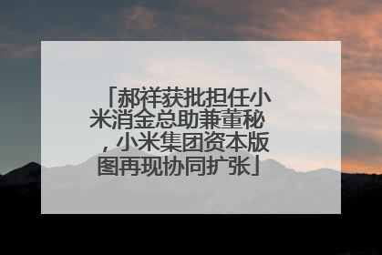郝祥获批担任小米消金总助兼董秘，小米集团资本版图再现协同扩张
