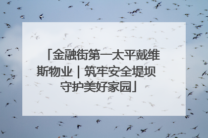 金融街第一太平戴维斯物业｜筑牢安全堤坝 守护美好家园