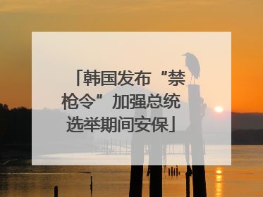 韩国发布“禁枪令”加强总统选举期间安保