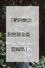 靶向整治织密基金监管网络