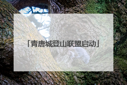 青唐城登山联盟启动