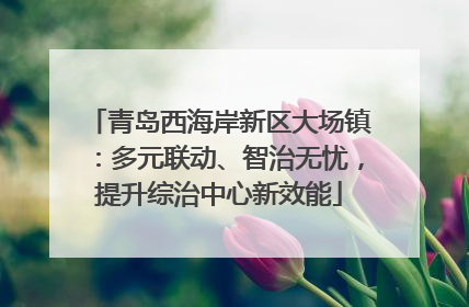 青岛西海岸新区大场镇：多元联动、智治无忧，提升综治中心新效能