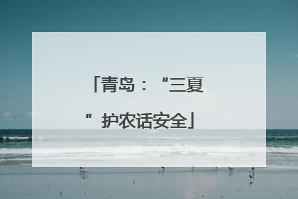 青岛：“三夏”护农话安全
