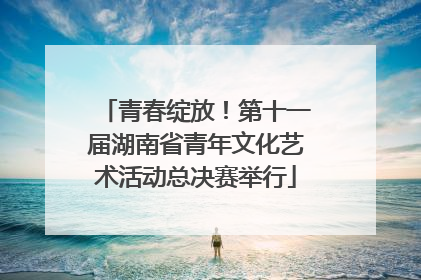 青春绽放！第十一届湖南省青年文化艺术活动总决赛举行