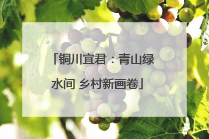 铜川宜君：青山绿水间 乡村新画卷