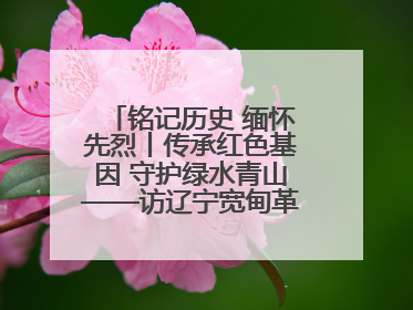 铭记历史 缅怀先烈丨传承红色基因 守护绿水青山——访辽宁宽甸革命老区