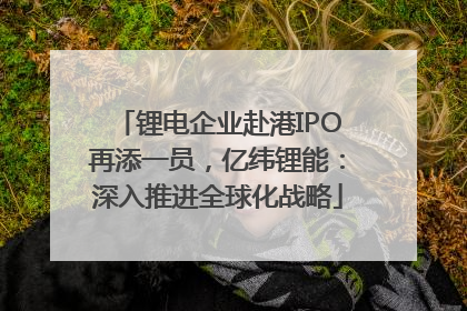 锂电企业赴港IPO再添一员，亿纬锂能：深入推进全球化战略
