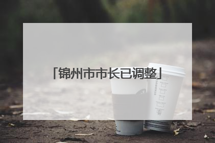 锦州市市长已调整