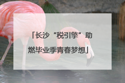长沙“税引擎”助燃毕业季青春梦想